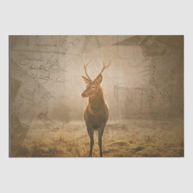 Deer in the forest tissue paper (Front)