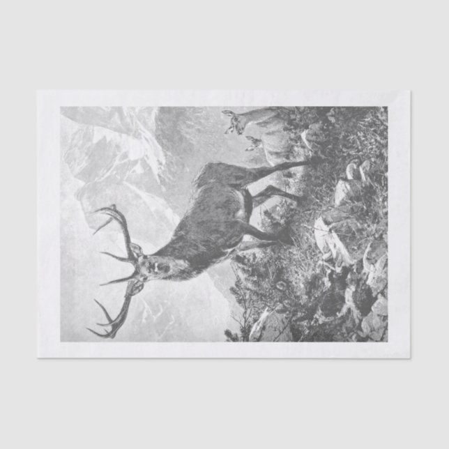 Deer in the High Mountains Tissue Paper (Front)