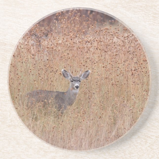 Deer in the meadow coaster (Front)