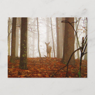 Deer in the Mist Postcard