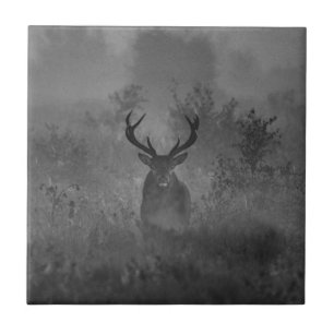 Deer In The Mist Tile