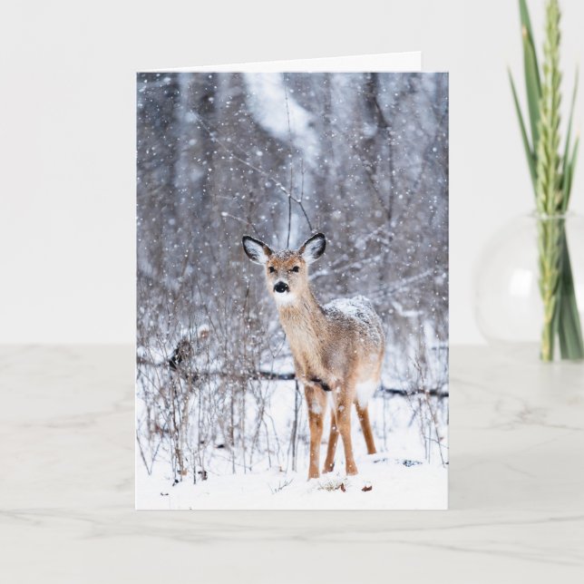 Deer in the Snow Card (Front)