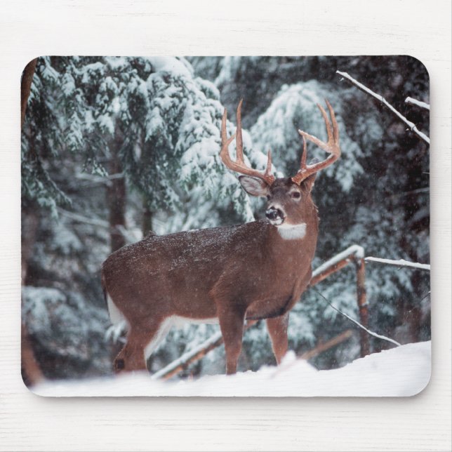 Deer in the Snow Mousepad (Front)