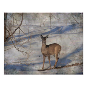 Deer in the snow photo print