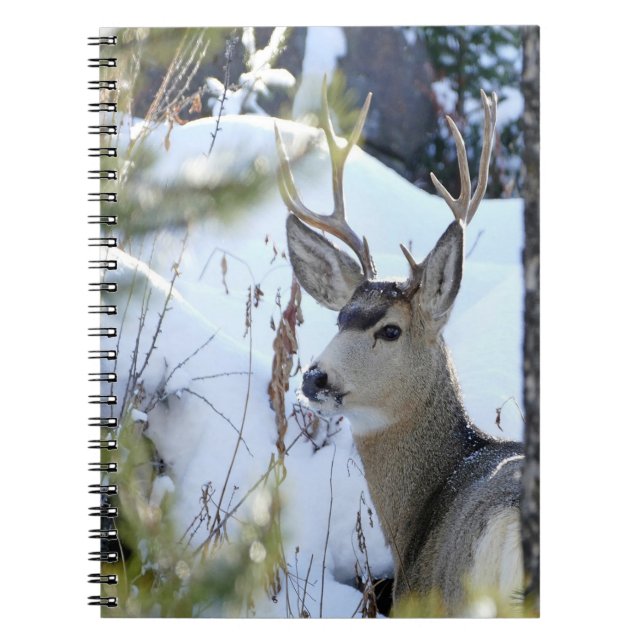 Deer In The Snow Spiral Notebook (Front)