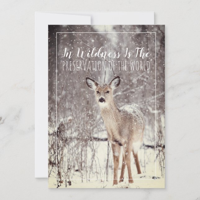 Deer In The Snow Winter Holiday Card (Front)