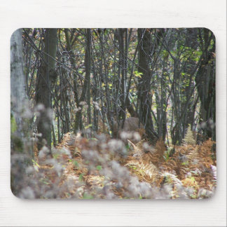 Deer in West Virginia Mouse Pad