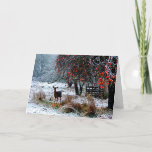 Deer in Winter Holiday Card