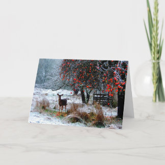 Deer in Winter Holiday Card