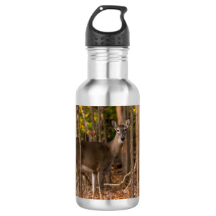 Deer in Woods 532 Ml Water Bottle