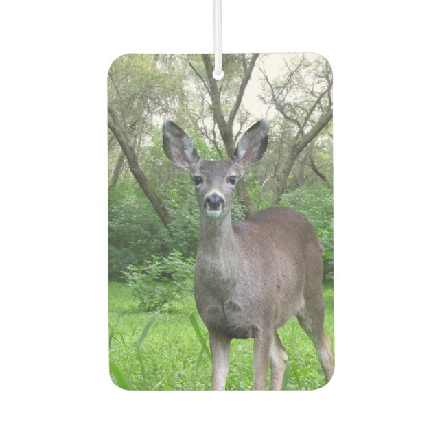 Deer in Woods Air Freshener (Front)