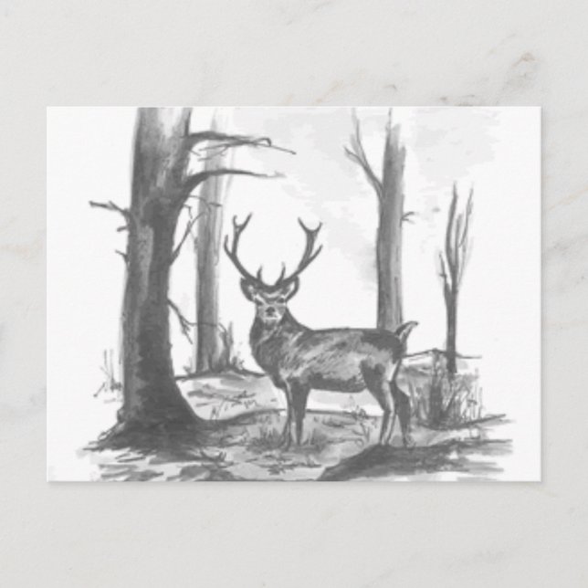 deer in woodsgif postcard (Front)