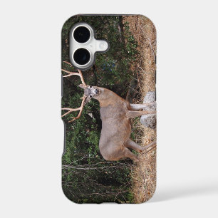 Deer iPhone 5