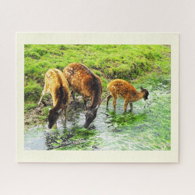Deer Jigsaw Puzzle (Horizontal)