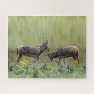 Deer Jigsaw Puzzle