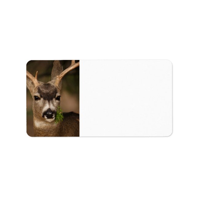 deer label (Front)
