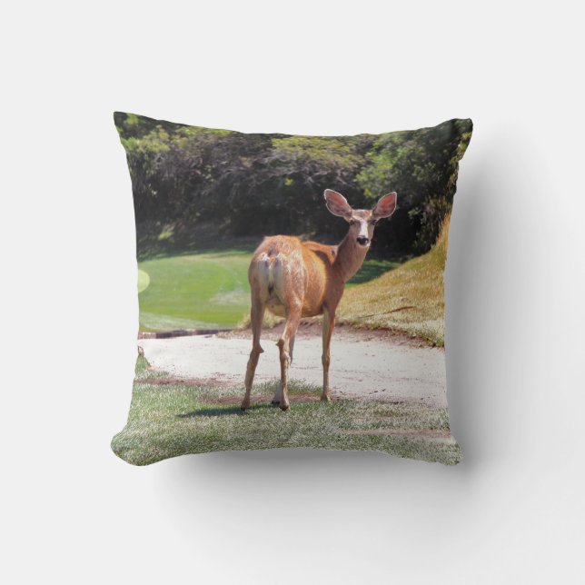 deer looking at camera photograph cushion (Front)