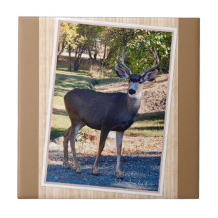 Deer Love Tile