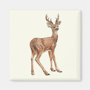 Deer Magnet