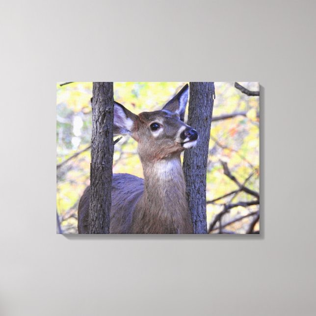 Deer Meeting in the Woods Canvas Print (Front)