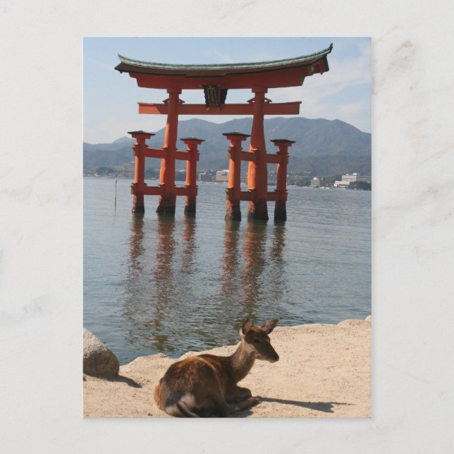 deer miyajima postcard (Front)