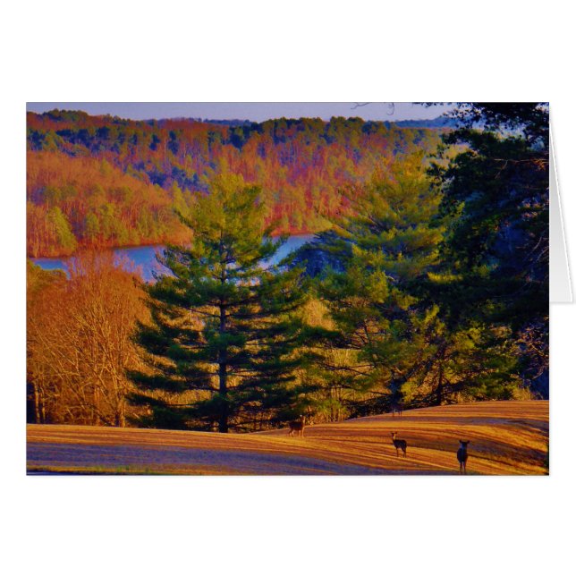 Deer & Mt. Lake (Front Horizontal)