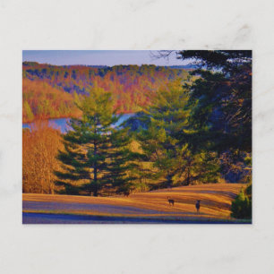 Deer & Mt. Lake Postcard