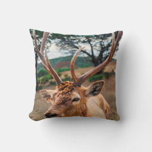 DEER ON BROWN GRASS FIELD UNDER GRAY CLOUDY SKY CUSHION