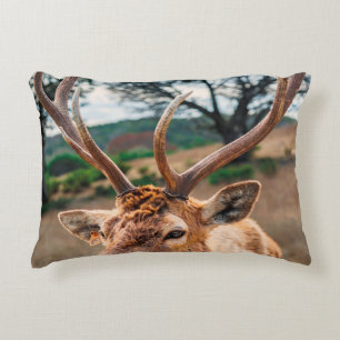 DEER ON BROWN GRASS FIELD UNDER GRAY CLOUDY SKY DECORATIVE CUSHION