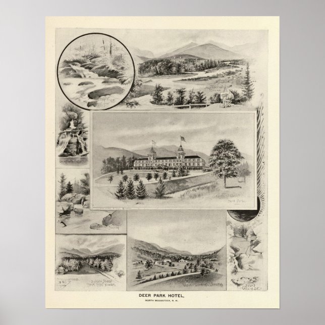 Deer Park Hotel Poster (Front)