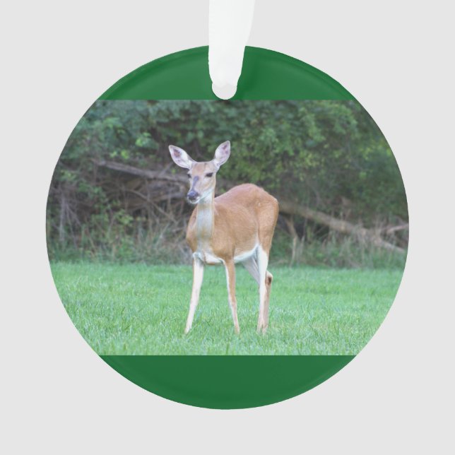 Deer Photo Ornament  (Front)