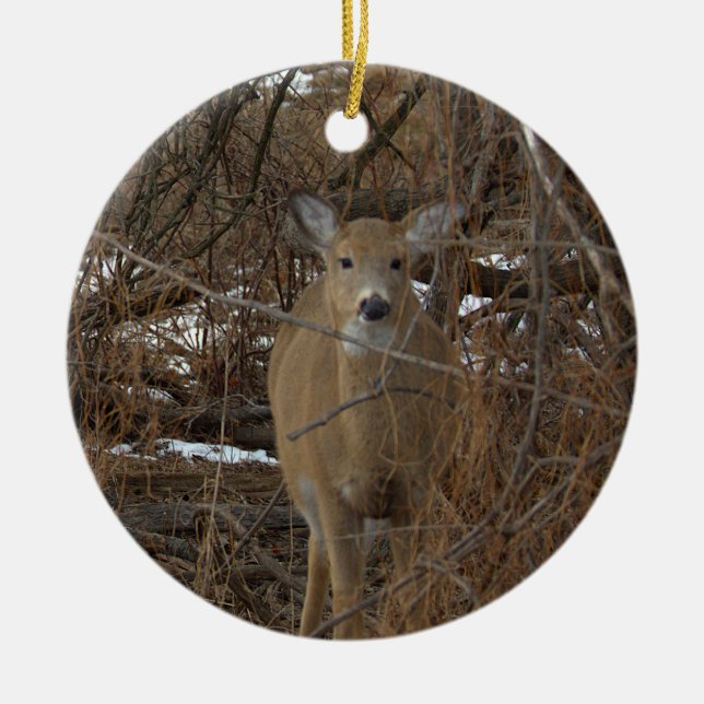 Deer Photo Ornament  (Front)