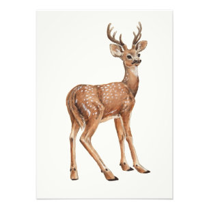 Deer Photo Print