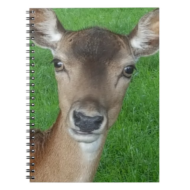 Deer Portrait Photography Wildlife Notebook (Front)
