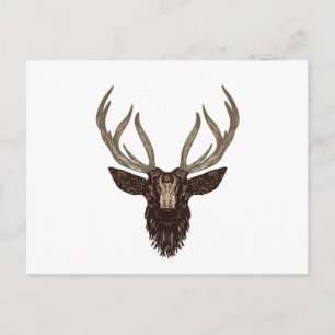 Deer Postcard