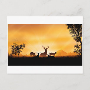 Deer Postcard