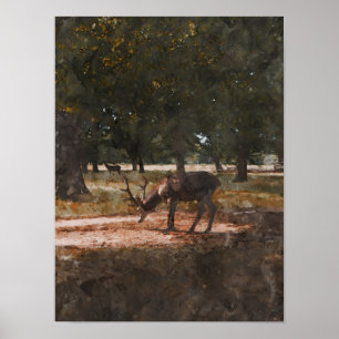 Deer Poster