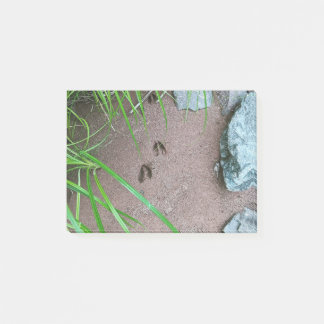 Deer print hoof footprint wildlife Post-it Notes