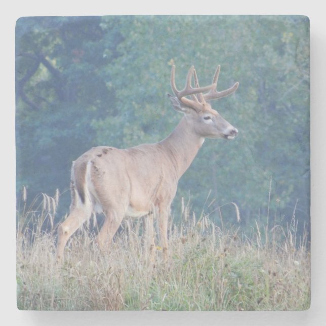 Deer Profile in Field Stone Coaster (Front)
