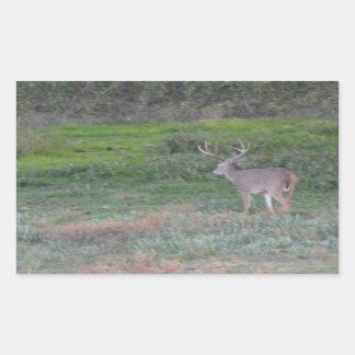 deer rectangular sticker