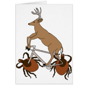 Deer Riding Bike With Deer Tick Wheels