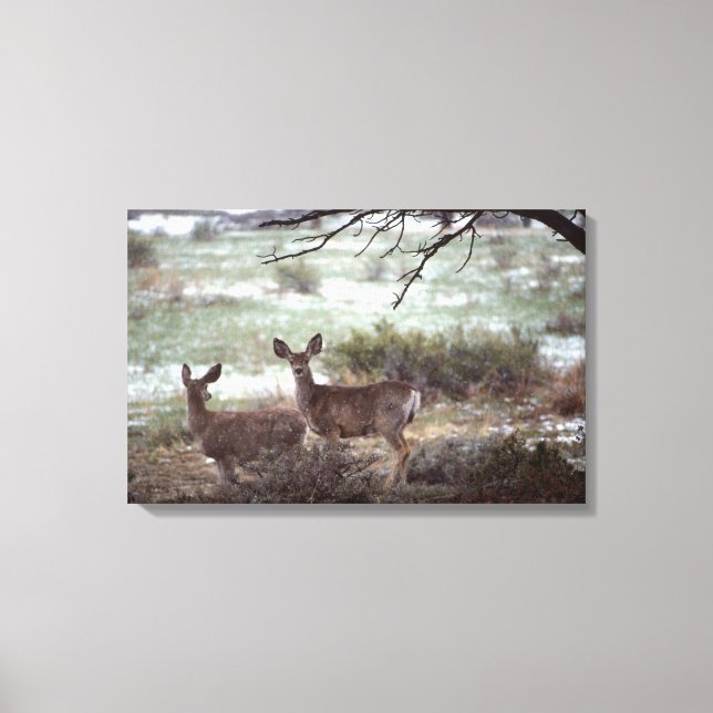 Deer running canvas print (Front)