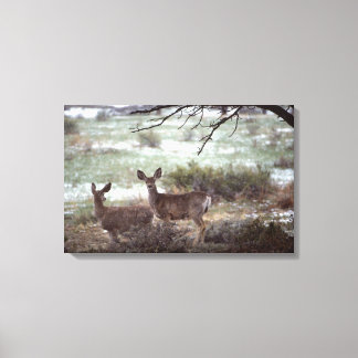 Deer running canvas print