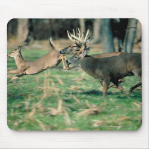 Deer running in forest mouse pad