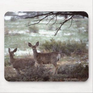 Deer running mouse pad
