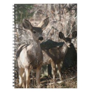 Deer saying hello notebook