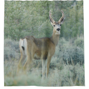 Deer Shower Curtain