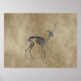 deer skeleton poster
