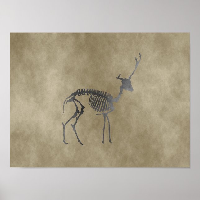 deer skeleton poster (Front)