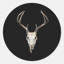 Deer Skull Antler on Black Background